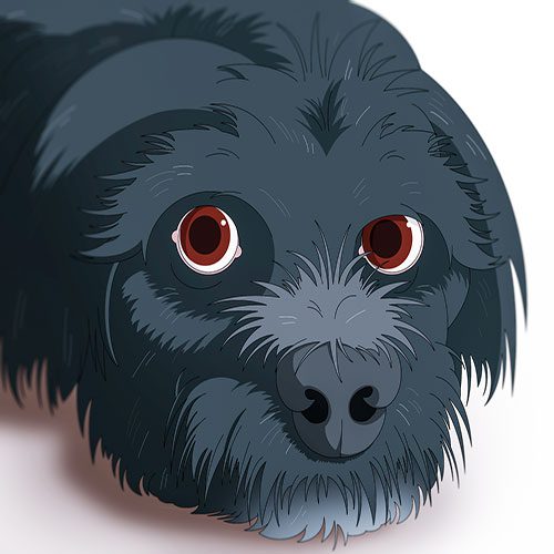 Cartoon Style Pet Portrait Cartoon Style Pet Portrait By WRBC-Illustration.co.uk